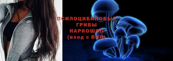 apvp Зеленокумск