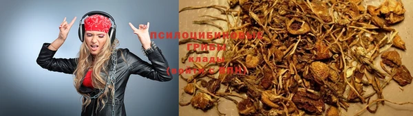 2c-b Зерноград