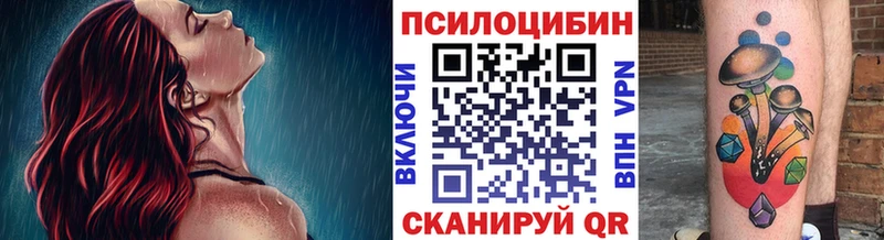 Псилоцибиновые грибы мицелий  Исилькуль 